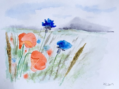 Mohn-und Kornblumenfeld Aquarell