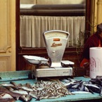 1972_Südfrankreich_Fischverkäuferin